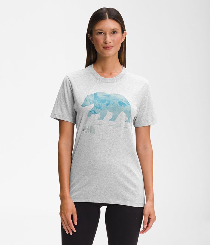 The North Face Womens T-Shirts Short Sleeve Bearscape 2.0 317XOGELK - Light Grey